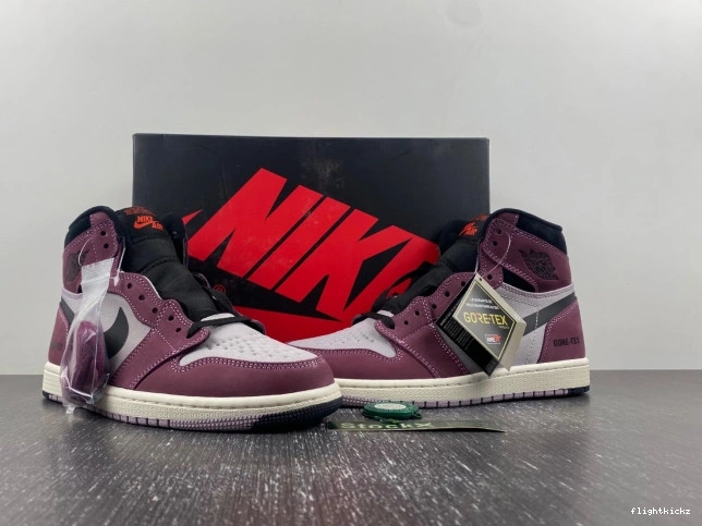 Jordan Gore-Tex Air Element 1 DB2889-500 0724